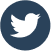 A twitter or X logo icon